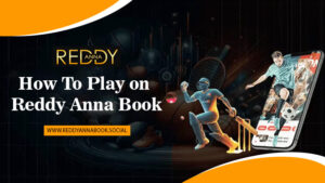 Read more about the article How to Play on Reddy Anna Book?