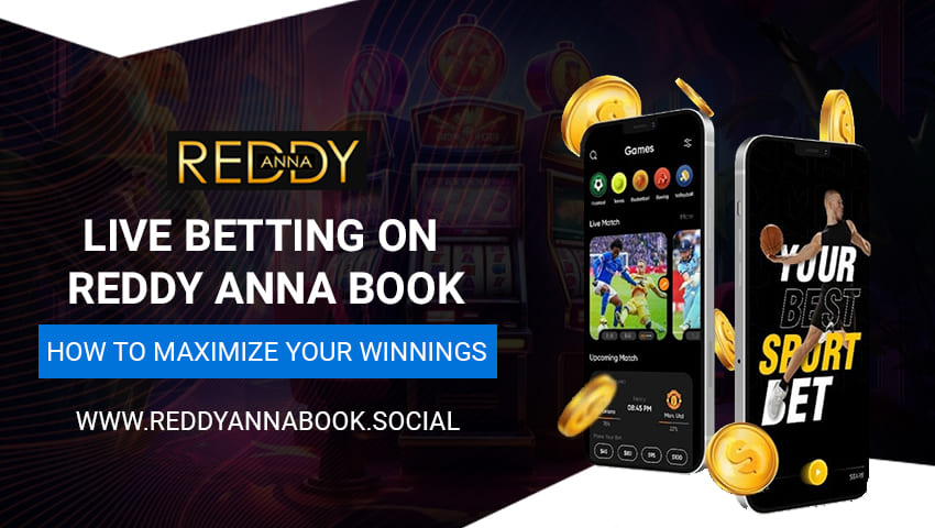 You are currently viewing Maximizing your wins while Live Betting on Reddy Book