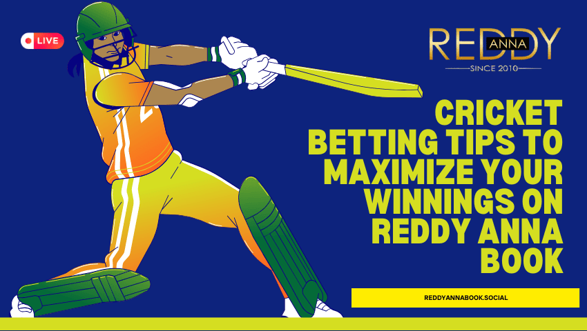 You are currently viewing Cricket Betting Tips to Maximize Your Winnings on Reddy Anna Book