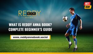Read more about the article What is Reddy Anna Book? Complete Beginner’s Guide