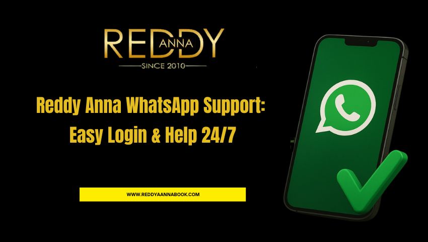 Read more about the article Reddy Anna WhatsApp Support: Easy Login & Help 24/7